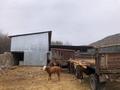 Крестянская хозяйства · 8000 м² за 50 млн ₸ в Жаркенте, Алтыуй — фото 3