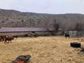 Крестянская хозяйства · 8000 м² за 50 млн ₸ в Жаркенте, Алтыуй — фото 4