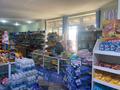 Магазины и бутики • 600 м² за 50 млн 〒 в Талдыбулаке — фото 7