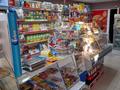 Магазины и бутики • 185 м² за 62.5 млн 〒 в Кокшетау — фото 4