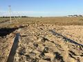 Жер телімі · 5 сотық, Жайнақ (Комсомол), бағасы: 5 млн ₸ в Жайнак (Комсомоле) — фото 4