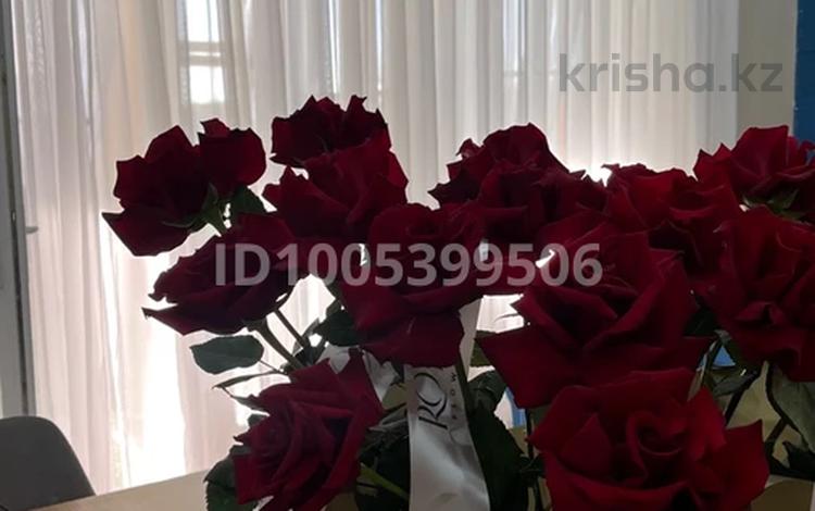 Отдельный дом · 7 комнат · 257 м² · 9 сот., мкр Кайнар, Алапана Кенжалиева 45 за 32 млн 〒 в Атырау — фото 51