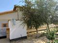 Отдельный дом · 7 комнат · 450 м² · 10000 сот., Әлия Молдағұлова 20а за 40 млн ₸ в Бейнеу — фото 4