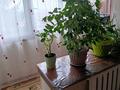4-бөлмелі пәтер · 90 м², Адольфа Янушкевича 112кв 2 — Светофора, бағасы: 100 млн ₸ в Усть-Каменогорске, Меновное — фото 5