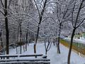 3-комнатная квартира · 59 м² · 3/5 этаж, Тулебаева 20 — ДВД, отдел охраны за 17 млн ₸ в  — фото 10