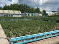 Отдельный дом · 4 комнаты · 120 м² · 15 сот., Лесозаготовительная за 37 млн ₸ в Семее — фото 31
