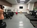 7-комнатная квартира · 236 м² · 32 этаж, Аль-фараби — Эксклюзивный вариант за 270 млн ₸ в Алматы, Медеуский р-н — фото 25