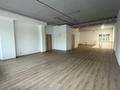 Еркін · 430 м², бағасы: 3.9 млн ₸ в Астане, Есильский р-н — фото 14