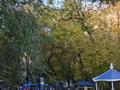 1-бөлмелі пәтер · 29 м² · 4/5 қабат, Пришахтинск, Металлистов 28 — Поликлиника, бағасы: 10 млн ₸ в Караганде, Алихана Бокейханова р-н — фото 3