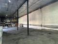 Еркін, қоймалар · 240 м², бағасы: 960 000 ₸ в Алматы, Алмалинский р-н — фото 11