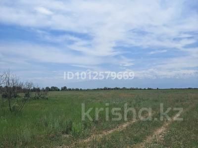 Жер телімі · 81 га, Жалкамыс, бағасы: ~ 150 млн ₸