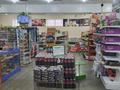Магазины и бутики • 300 м² за 1.2 млн 〒 в Караганде, Алихана Бокейханова р-н — фото 8