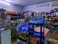 Магазины и бутики • 200 м² за 30 млн 〒 в Таразе — фото 5