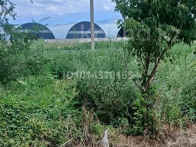 Участок · 80 соток, Касымбек за 130 млн ₸