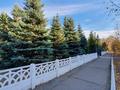 Действующий бизнес с хорошим доходом · 120 м², бағасы: 85 млн ₸ в Караганде, Казыбек би р-н — фото 26