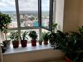 1-бөлмелі пәтер · 46.6 м² · 8/9 қабат, Курганская, бағасы: 25 млн ₸ в Костанае — фото 8