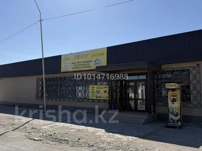 Свободное назначение, магазины и бутики, общепит · 288.2 м² за 80 млн ₸ в Шелек