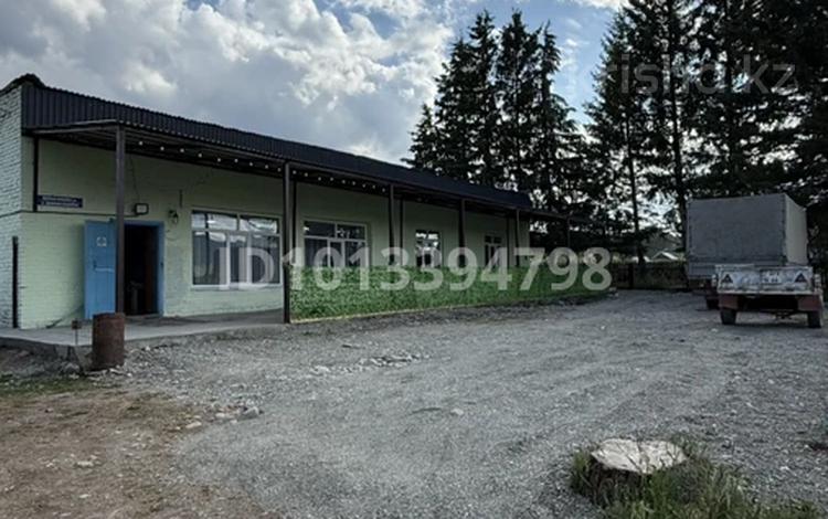 Белқарағайда орналасқан дайын бизнес · 250 м², бағасы: 40 млн ₸ в  — фото 3
