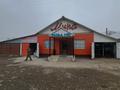 Магазины и бутики · 1000 м² за 200 млн ₸ в Кабанбай
