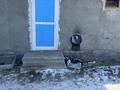 Жеке үй · 5 бөлме · 85 м² · 8 жүзд., Алтыүй 81 — Достык, бағасы: 22 млн ₸ в Жаркенте, Алтыуй — фото 8