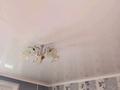 2-бөлмелі пәтер · 54 м² · 4/5 қабат, Майкудук, Майкудук, мкр Восток-3 17, бағасы: 90 000 ₸ в Караганде, Алихана Бокейханова р-н — фото 3