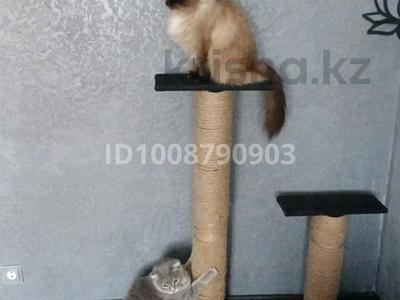 3-комнатная квартира · 55 м² · 2/5 этаж, Корчагина 105 за 18 млн 〒 в Рудном