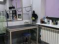 Действующий груминг-салон, зоомагазин, зоогостиницу · 53 м², бағасы: 9 млн ₸ в Алматы, Алмалинский р-н — фото 8