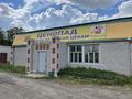 Свободное назначение • 250 м² за 30 млн 〒 в Павлодарской области