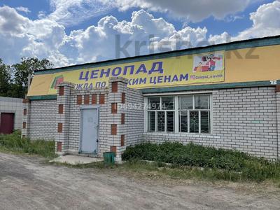 Свободное назначение • 250 м² за 30 млн 〒 в Павлодарской области