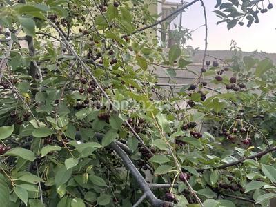 Жеке үй · 6 бөлме · 210 м² · 7 жүзд., Кулагер 31, бағасы: 95 млн ₸ в Актау, мкр Приморский