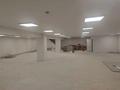 Свободное назначение · 740 м² за 300 млн ₸ в Павлодаре — фото 16