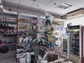 Магазины и бутики • 120 м² за 20 млн 〒 в Таразе — фото 10