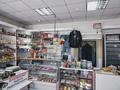 Магазины и бутики • 120 м² за 20 млн 〒 в Таразе — фото 13