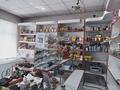 Магазины и бутики • 120 м² за 20 млн 〒 в Таразе — фото 9