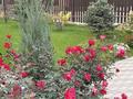 Жеке үй · 5 бөлме · 150 м² · 8 жүзд., Муратбаева 62 — Balausa Village, бағасы: 100 млн ₸ в Туздыбастау (Калинино) — фото 11