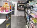 Новый мини-маркет · 225 м² за 50 млн ₸ в Рудном — фото 2