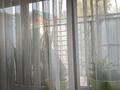Отдельный дом · 4 комнаты · 110 м² · 6.3 сот., ПКСТ Сервис 22 за 50 млн ₸ в Алматы, Наурызбайский р-н