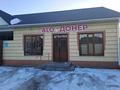 Отдельный дом · 4 комнаты · 200 м² · 200 сот., Турар Рыскулова 263 — Мебельный за 77 млн ₸ в им. Турара рыскуловой — фото 2
