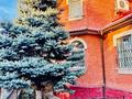 Жеке үй · 6 бөлме · 250 м² · 20 жүзд., Кенесарыхана 122, бағасы: 300 млн ₸ в Алматы, Наурызбайский р-н — фото 44