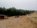 Отдельный дом · 6 комнат · 200 м² · 200 сот., Достық за 14 млн ₸ в Ленгере — фото 23
