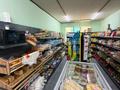 Магазины и бутики · 92.6 м² за 90 млн ₸ в Алматы, Турксибский р-н — фото 3