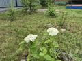 Отдельный дом · 4 комнаты · 100 м² · 12 сот., 14 6 за 35 млн 〒 в Новой бухтарме — фото 8