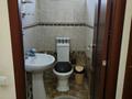 Отдельный дом · 6 комнат · 240 м² · 10 сот., Гулдер за 90 млн ₸ в  — фото 8