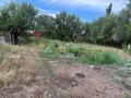 Жеке үй · 8 бөлме · 280 м² · 30 сот., Енбек момышулы 10 — Енбек городская прописка, бағасы: 20 млн ₸ в Талдыкоргане — фото 18