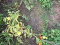 Жеке үй · 8 бөлме · 280 м² · 30 сот., Енбек момышулы 10 — Енбек городская прописка, бағасы: 20 млн ₸ в Талдыкоргане — фото 8