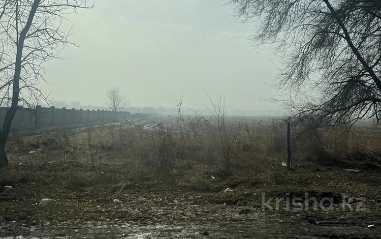 Участок · 350 соток, Достык 1/2 — Райымбека за ~ 1.8 млрд ₸ в Айтей — фото 2