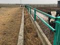 Ферма с зоной отдыха за 190 млн 〒 в Шымкенте, Аль-Фарабийский р-н — фото 14