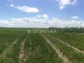 Сельское хозяйство • 3000 м² за 150 млн 〒 в Баканасе — фото 50