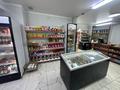 Дүкендер мен бутиктер · 85 м², бағасы: 700 000 ₸ в Алматы, Наурызбайский р-н — фото 5