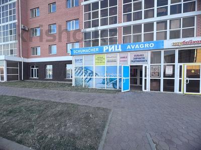 Еркін · 170 м², бағасы: 43 млн 〒 в Кокшетау